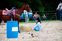 horseshow01