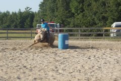 horseshow02