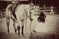 horseshow03