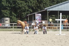 horseshow05