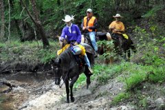 Trail Ride