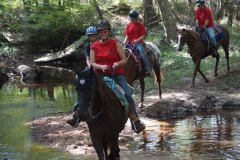 Trail Ride